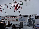 DSC02124.JPG